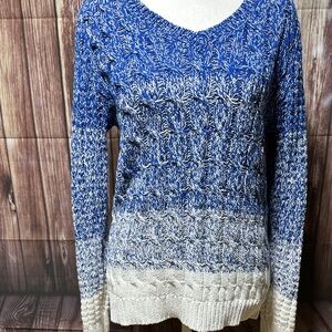 Liz Claiborne V-Neck Sweater in Blue and Cream